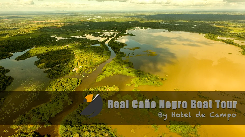 refuge caño negro boat tour
